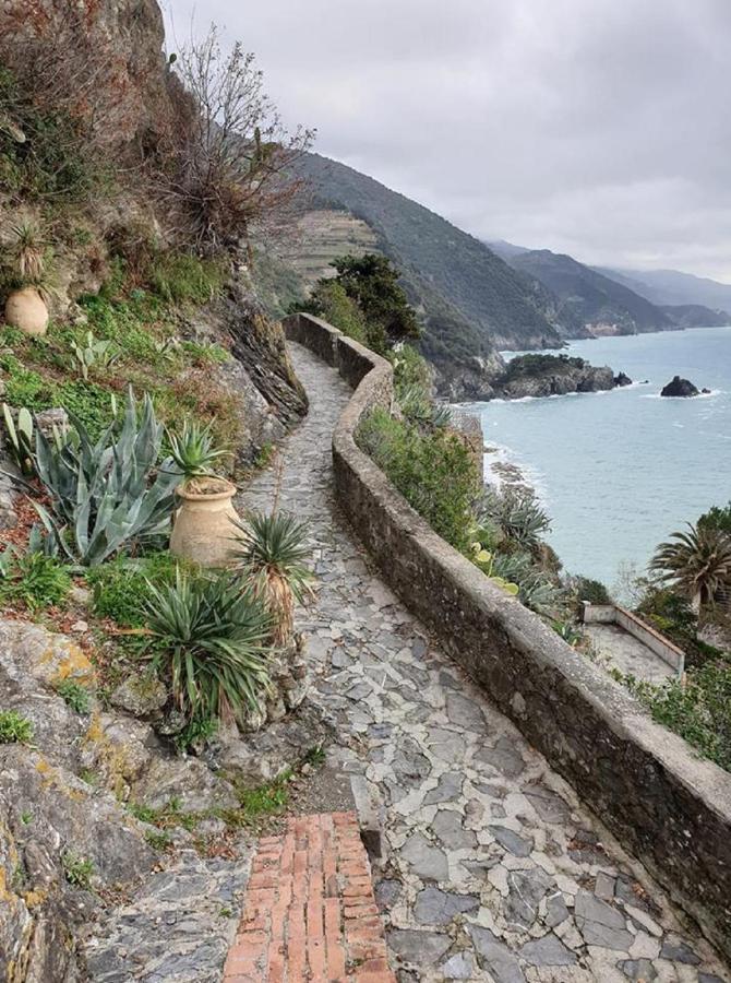 Casa de hóspedes I Lecci Di Soviore